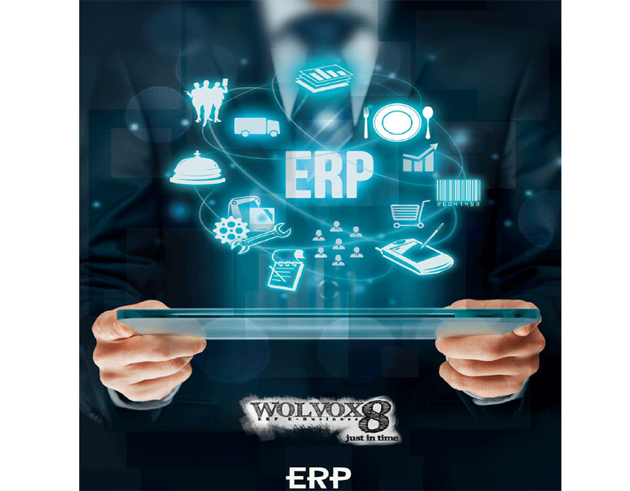 WOLVOX ERP