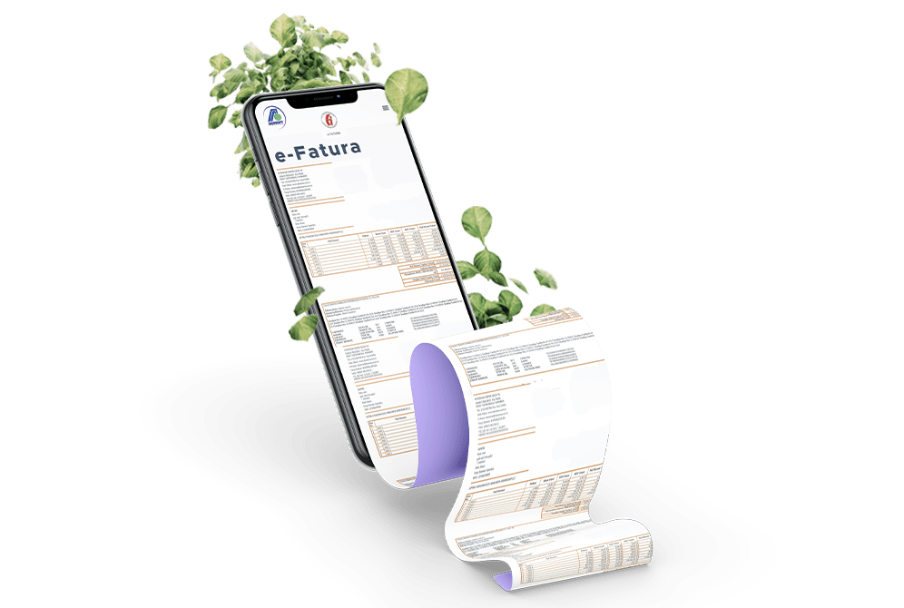 e-fatura